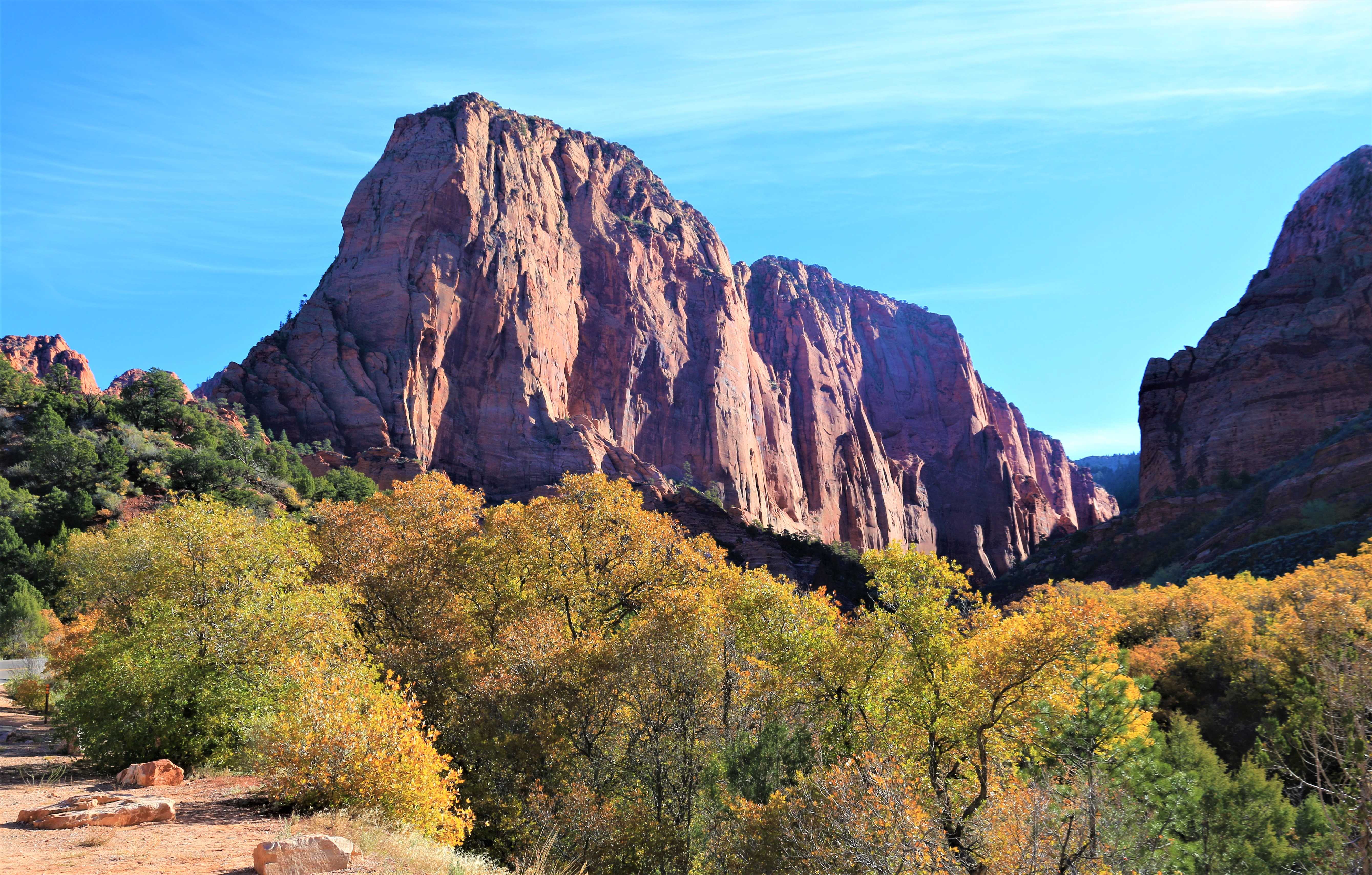 Zion NP